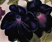 乔治亚奥基夫 - Black and Purple Petunias
